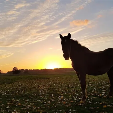 דירה Winther 1 Lutzow