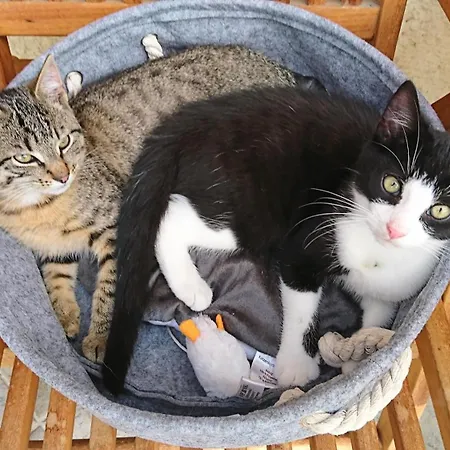 Winther 1 דירה Lutzow